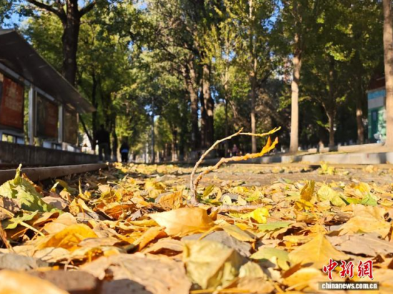 �S��54·��܉�܇�ؾ��h(hu��n)���������Σ���߅�L(f��ng)ò�����������S���~䁝M·�档���� ���z