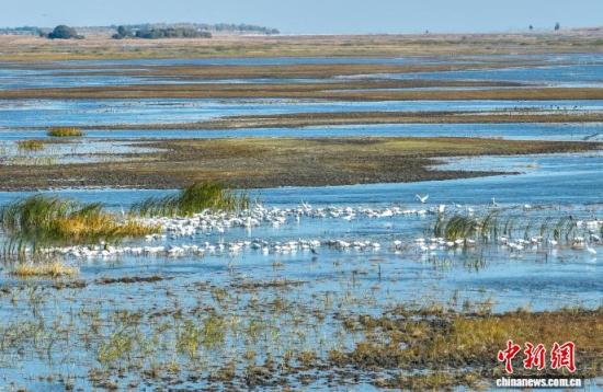 10��16��������ĪĪ���(gu��)�Ҽ�(j��)��Ȼ���o(h��)�^(q��)��(n��i)�������ڑ�ˮ��(�o(w��)�˙C(j��)��Ƭ)�w��� �z