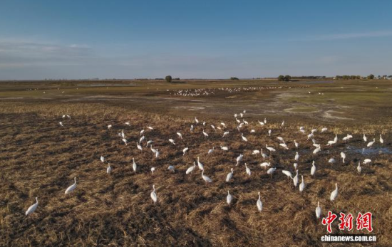 10��16�գ��ڼ���ĪĪ���(gu��)�Ҽ�(j��)��Ȼ���o(h��)�^(q��)��(n��i)���Q����Ϣ��(�o(w��)�˙C(j��)��Ƭ)�w��� �z