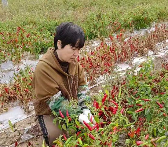 ͥԺ�����Nֲ