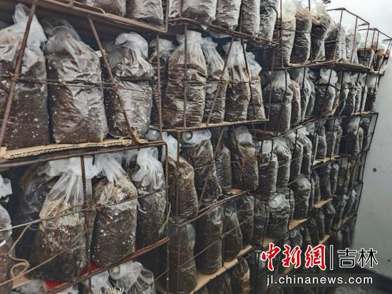 ���D�hί������/���D