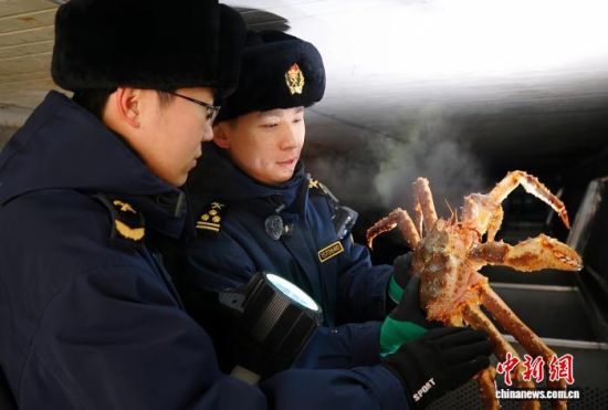 �L�����P(gu��n)���٬q�����P(gu��n)�P(gu��n)�T��(du��)�M(j��n)�ڵ���з�_չ���(y��n)�������̽��V �z