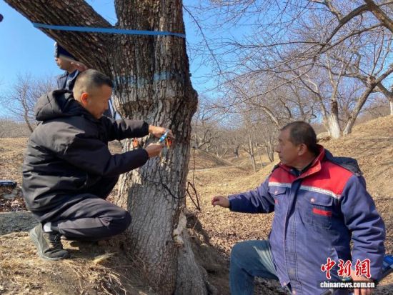 �����ˆT���ڌ���������������w�z�������� �z