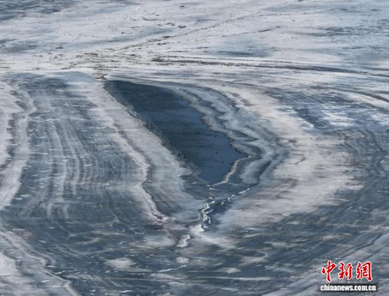 3��16�գ������(zh��n)�l�������������ڣ����BͣЪҒʳ���������� �z